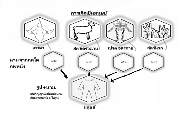 วัฏฏะแห่งชีวิต
